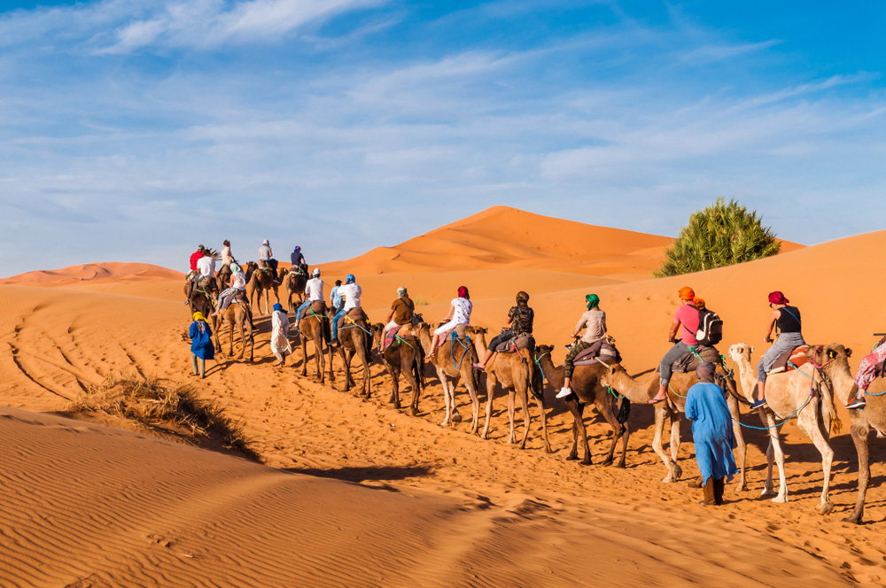 Gate1 Tours Morocco – All 2023 Vacations with
